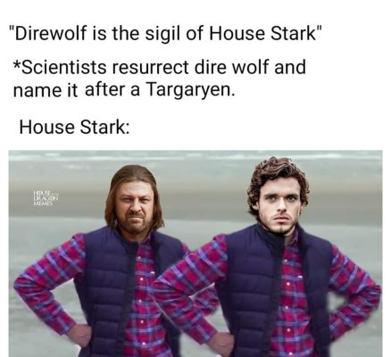 1000616297.jpg
