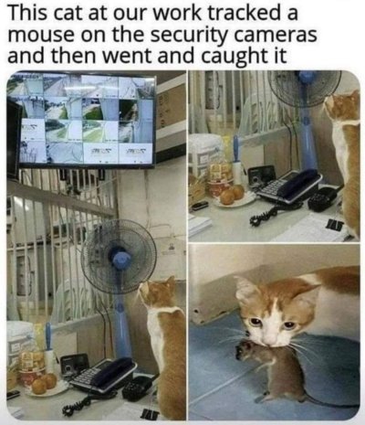 1000629044.jpg