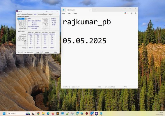 RAM-3.jpeg