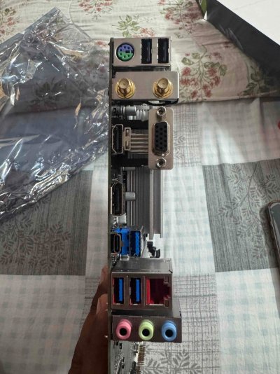 IMG_2276 (Custom).jpeg