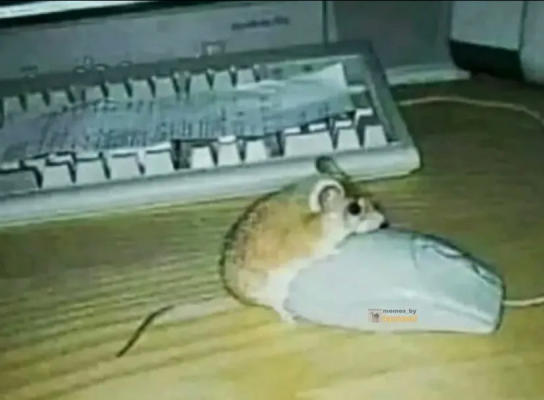 1748253747236.png
