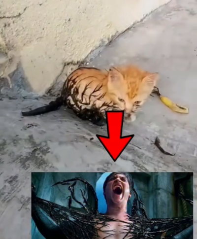 1749620184480.png