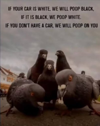 1749756369375.jpeg