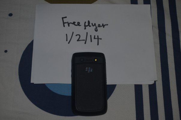bold2.jpg