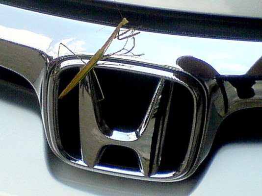 DSC00767.JPG