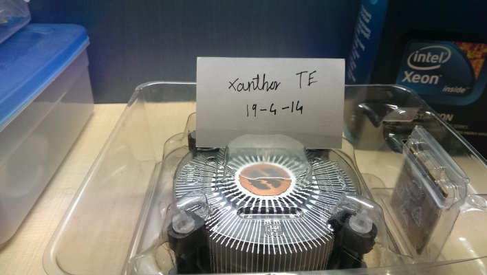 IMAG0276.jpg