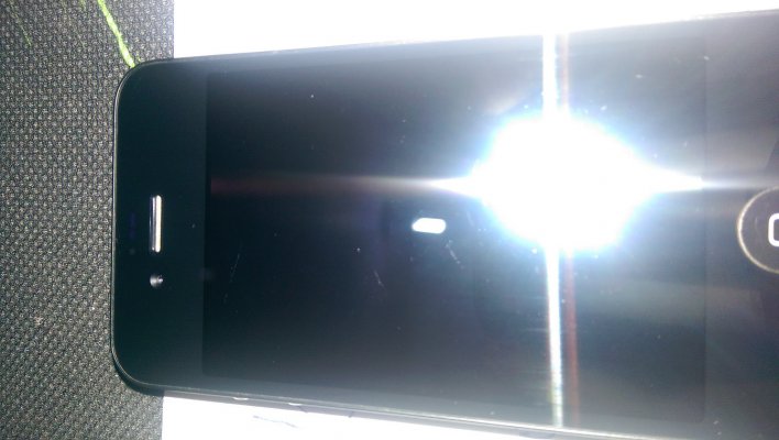 IMAG0099.jpg
