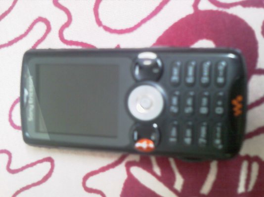 IMAG0060.jpg