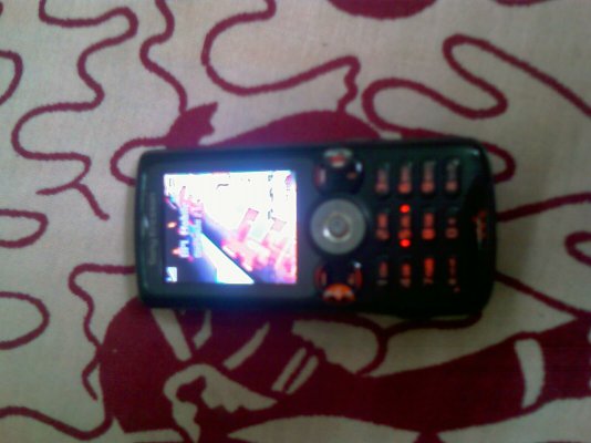 IMAG0062.jpg