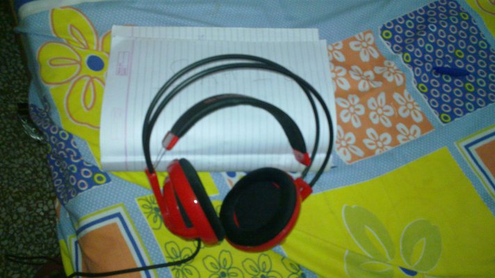 20100409_005.jpg