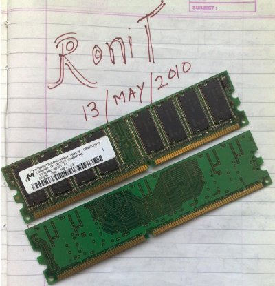 256.jpg