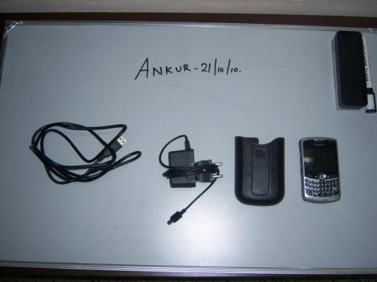1002451c.jpg