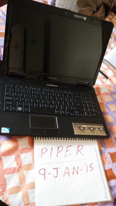 PiperLaptop (1).jpg