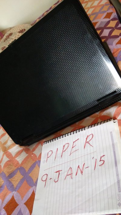 PiperLaptop (2).jpg
