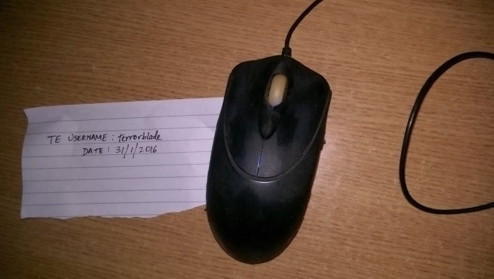 IMAG0033.jpg