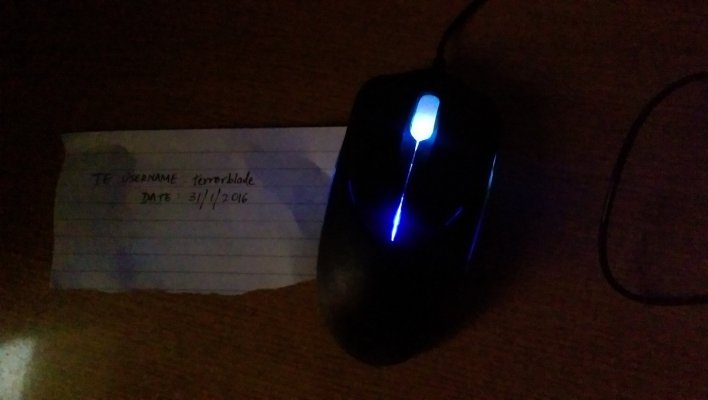 IMAG0034.jpg