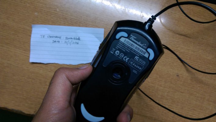 IMAG0037.jpg