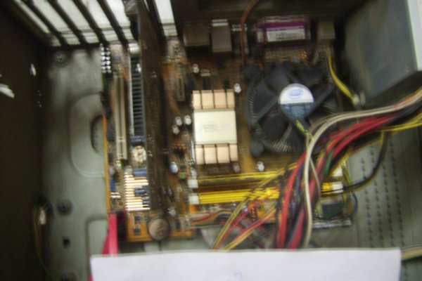 DSCI03781.jpg