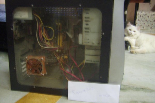 DSCI03811.jpg
