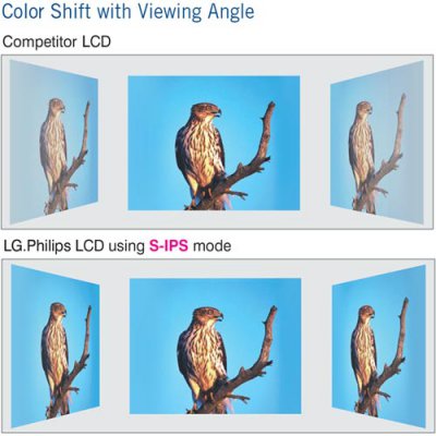 s-ips_colorshift-eagle_500x500.jpg