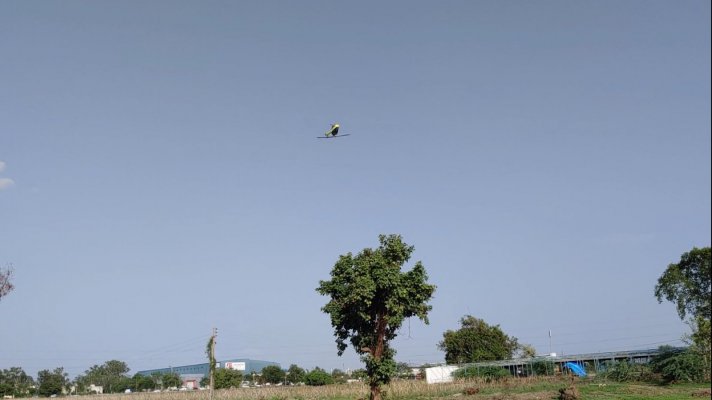 heli6.jpg