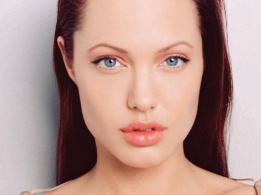 Angelina-1Jolie-fresh.jpg