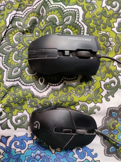 Mouse.jpg