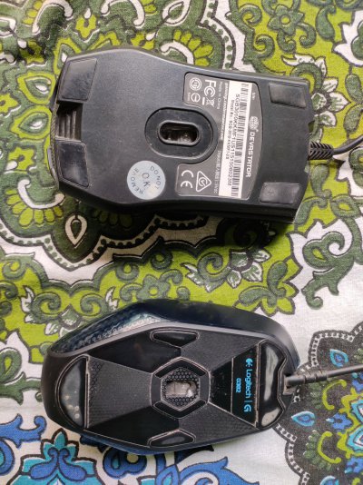 Mouse 1.jpg