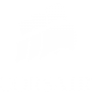 corsairIndia