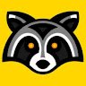 babyraccoon
