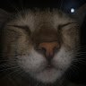 drewy2135