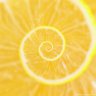 Hypnotised Lemon
