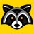 babyraccoon