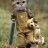 charu_555