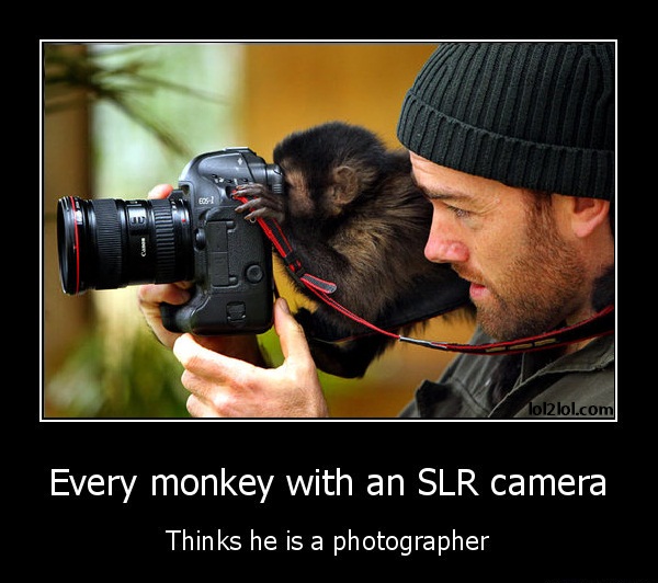 Every-monkey-with-an-SLR-camera-Thinks-he-is-a-photographer.jpg