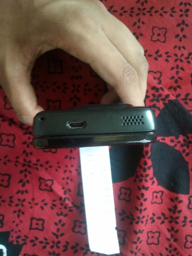 2012-06-13141533.jpg