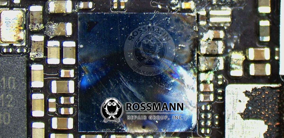 www.rossmanngroup.com