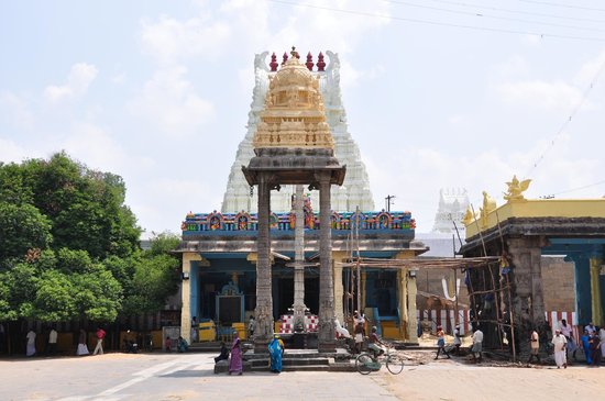 www.tripadvisor.com