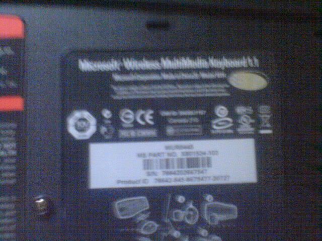 DSC01485.jpg