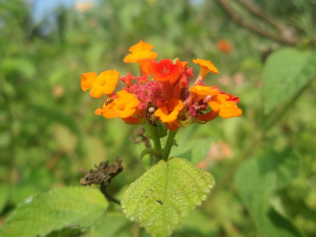 PB151322.jpg