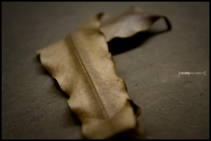 Dead_leaf_by_floccy.jpg
