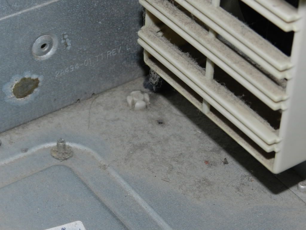 DSCN7941.jpg