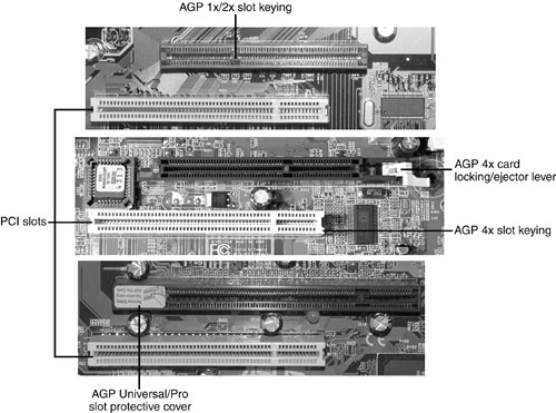 13fig03.jpg