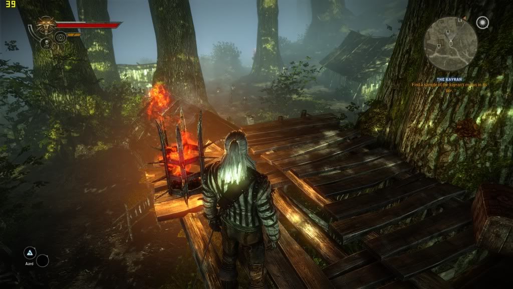 witcher22011-06-0200-21-34-01.jpg