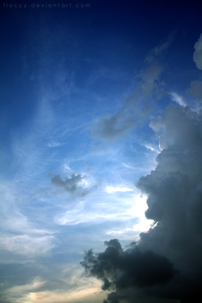 IMG_3259_by_floccy.jpg