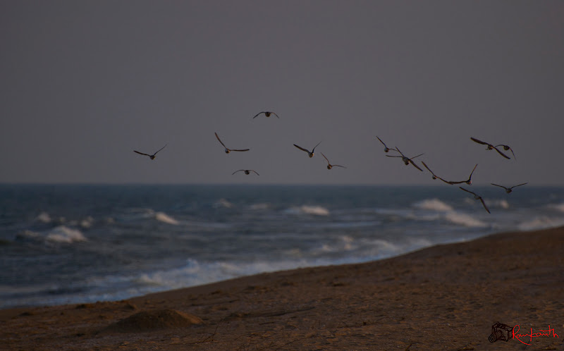 DSC_0228.jpg