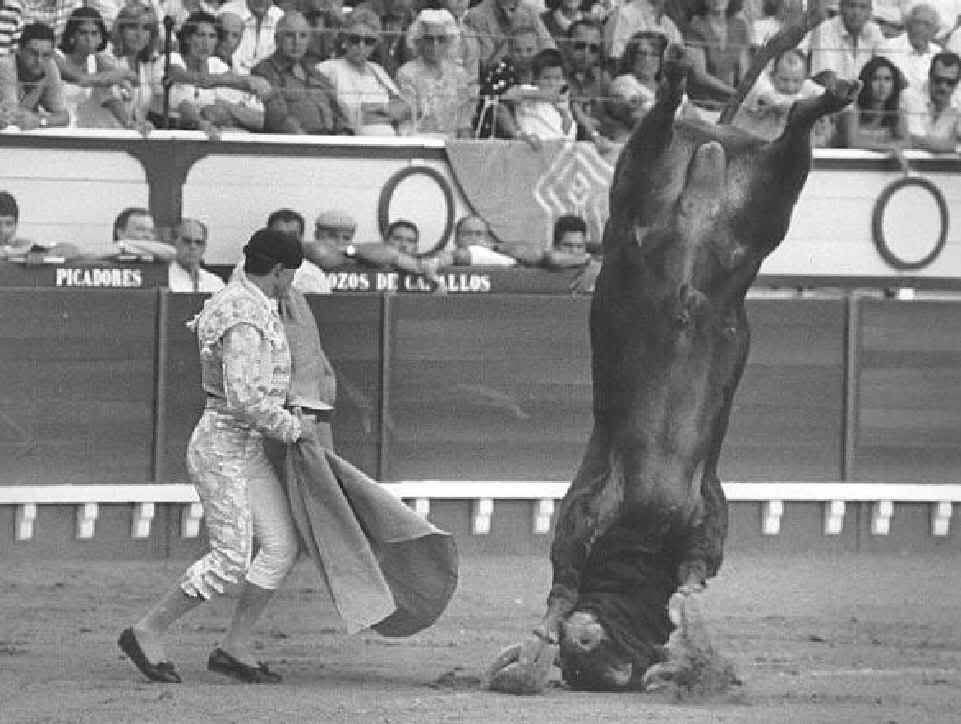 bullfight.jpg