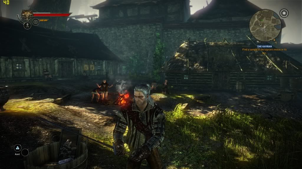 witcher22011-06-0200-22-35-47.jpg