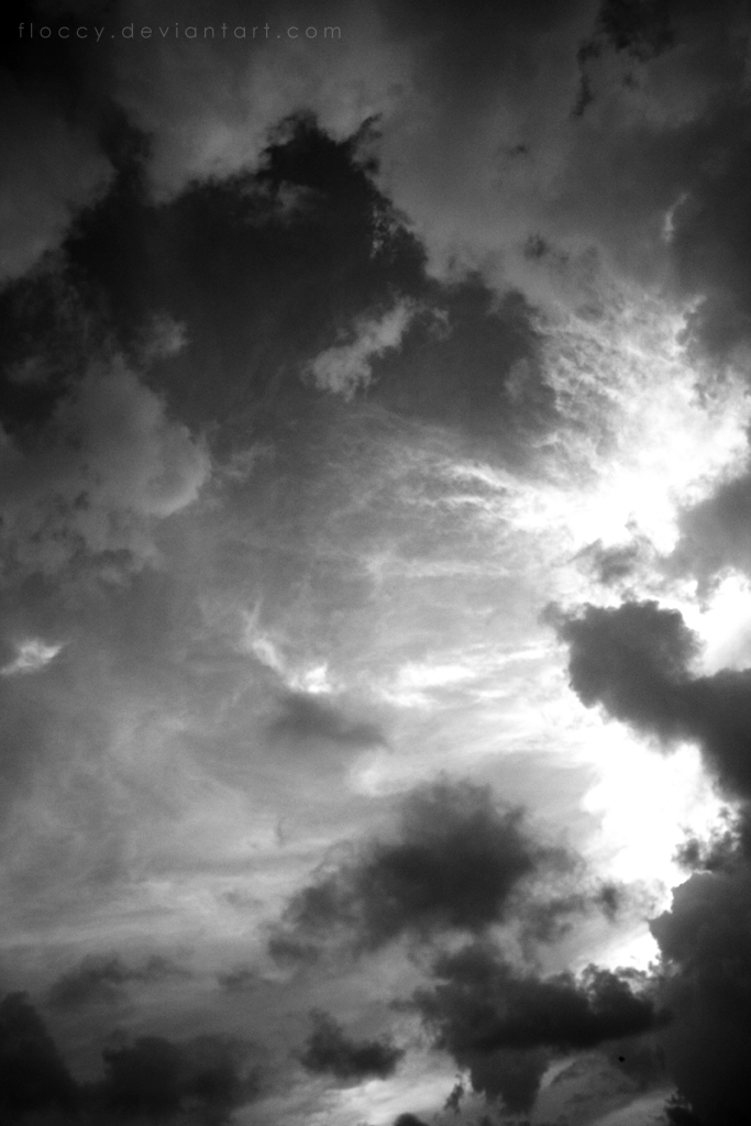 IMG_3249_by_floccy.jpg