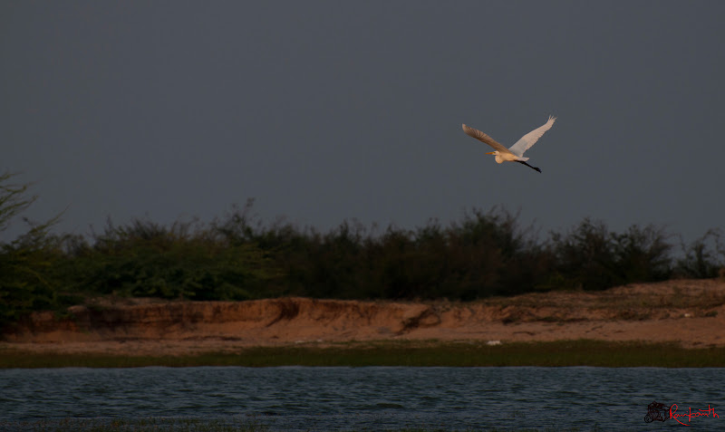 DSC_0213.jpg